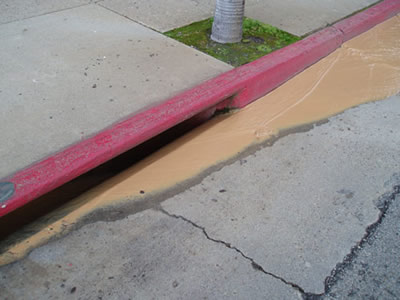 Runoff transporting pollutants to local creeks and ocean via storm drains