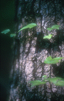 IMG00013