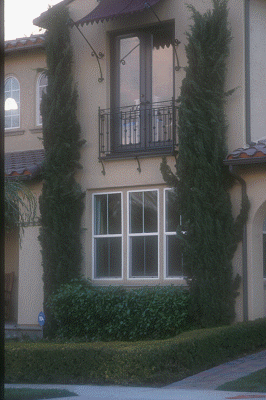 IMG00034
