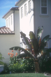IMG00042