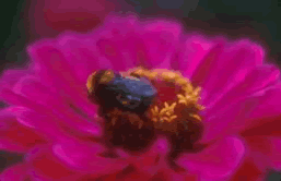 IMG00109