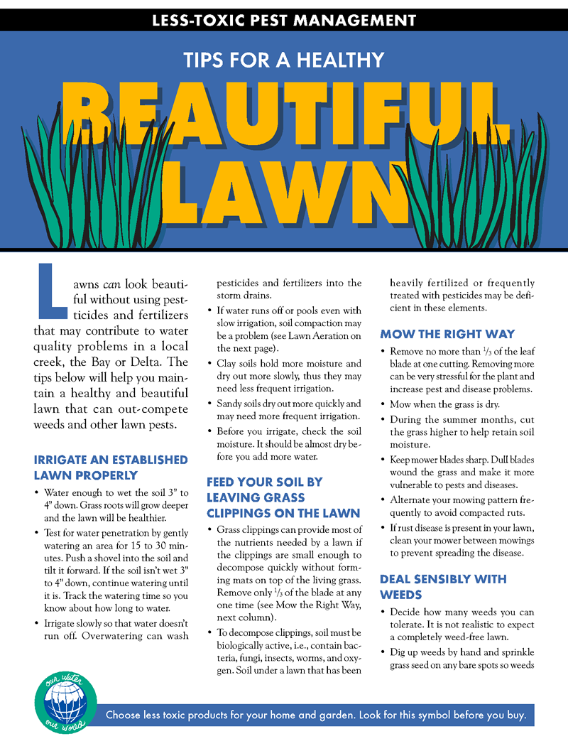 lawn1