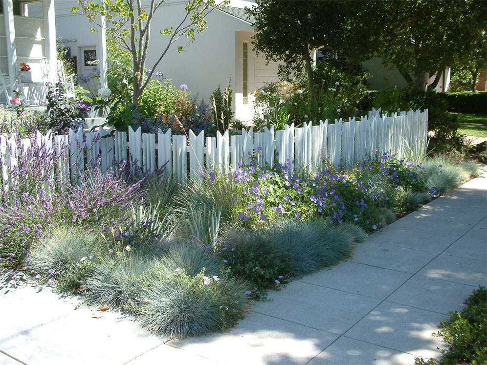 Cat's Ear Fence