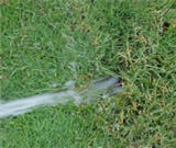 Leaning sprinkler