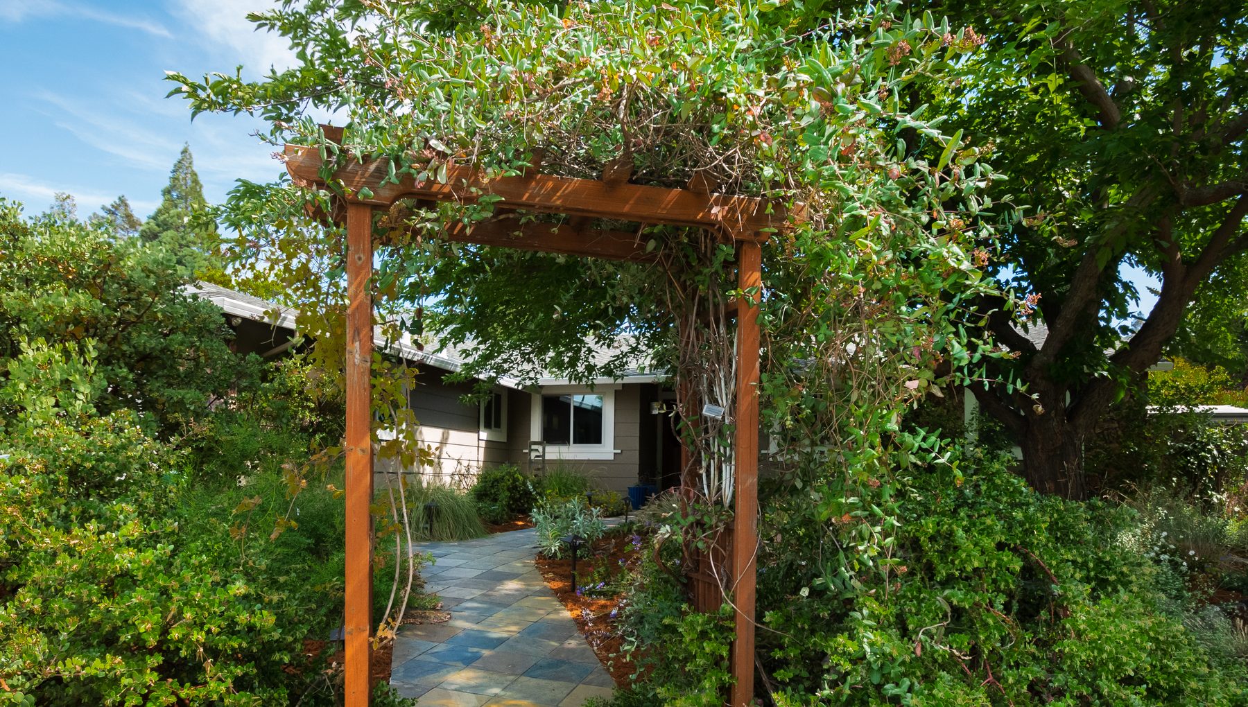 A redwood arbour framing a slate walk up to a front door, with shrubs and a vine climbing the posts